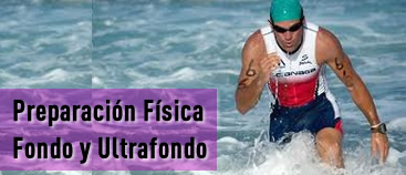 Curso actualización preparación física de atletas de fondo y ultrafondo