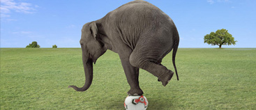 Seminario OnLine de Entrenamiento de Inestabilidad