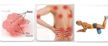 Seminario de Liberación Miofascial