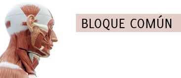 Curso Bloque Común Basico