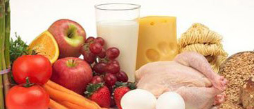 Curso de Nutrición Básica para el Ejercicio y la Salud