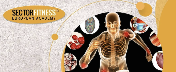 FISIOLOGÍA APLICADA AL FITNESS