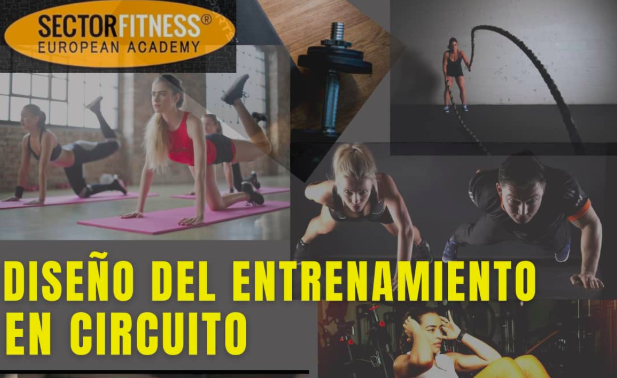 DISEÑO DE ENTRANAMIENTOS EN CIRCUITO