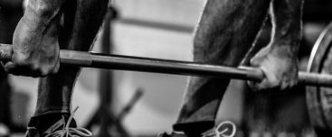 Seminario de Nuevas Tendencias Entrenamiento Fuerza