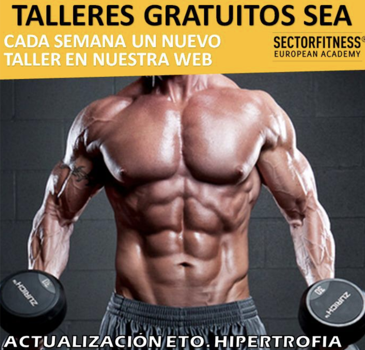 ¡¡¡Seminario de hipertrofia on line gratuito!!!